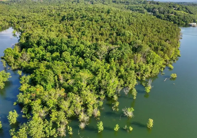 5th image of Mc 2034, Lead Hill, AR 72644 | MLS# 1290832