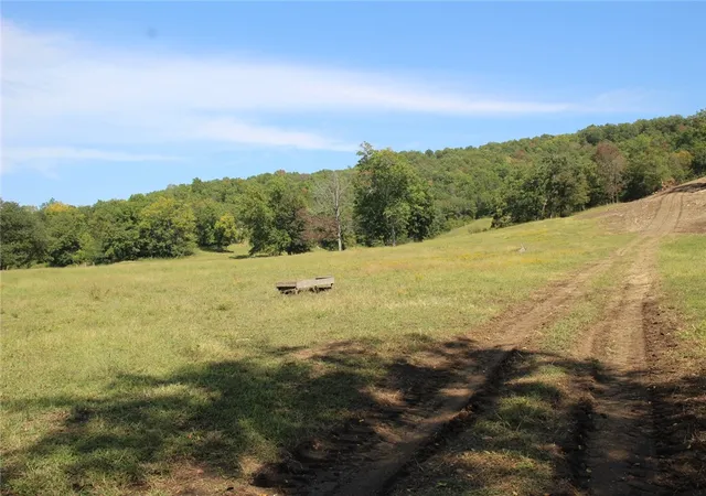 Homes for sale in Yellville, AR | 001 08869 000 Mc 8118, Yellville, AR 72687 | MLS# 1291213