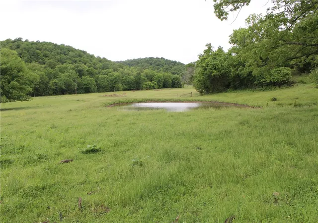 Homes for sale in Yellville, AR | 001-08869-000 Mc 8118, Yellville, AR 72687 | MLS# 1291213