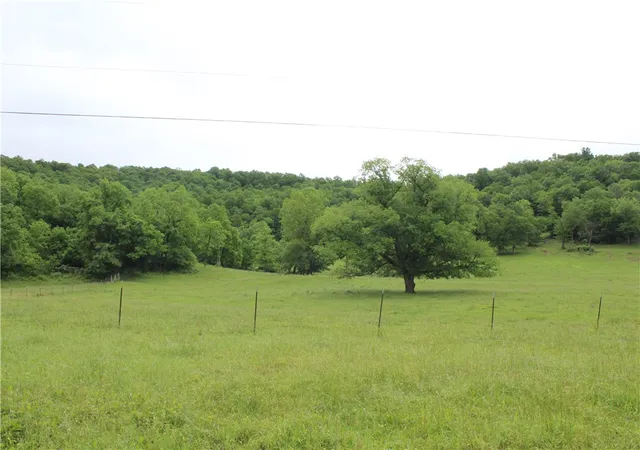 Homes for sale in Yellville, AR | 001-08869-000 Mc 8118, Yellville, AR 72687 | MLS# 1291213