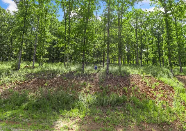 2nd image of Lot 23 Restore Ridge, Harrison, AR 72601 | MLS# 1291754