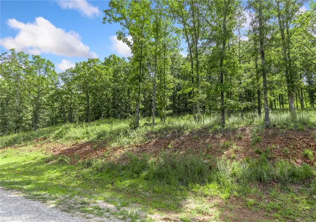 3rd image of Lot 23 Restore Ridge, Harrison, AR 72601 | MLS# 1291754