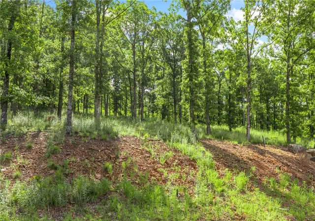 4th image of Lot 23 Restore Ridge, Harrison, AR 72601 | MLS# 1291754