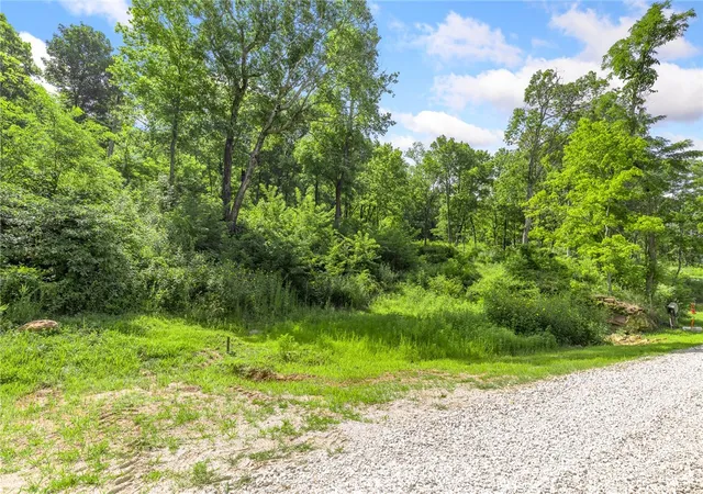 Photo 3 of Land for sale at Lot 47 Restore Ridge, Harrison, AR 72601 | MLS# 1291821 | Listing updated on 2026-01-14
