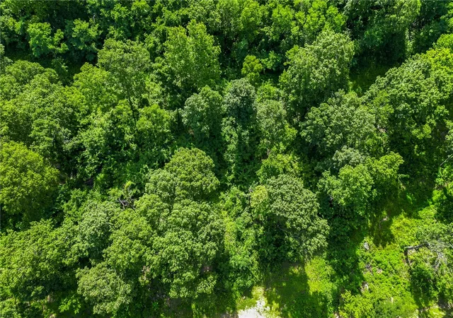 Photo 4 of Land for sale at Lot 47 Restore Ridge, Harrison, AR 72601 | MLS# 1291821 | Listing updated on 2026-01-14