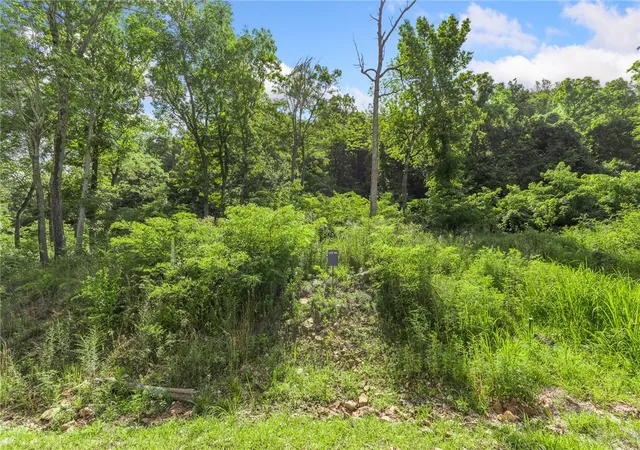 Photo 2 of Land for sale at Lot 50 Restore Ridge, Harrison, AR 72601 | MLS# 1291851 | Listing updated on 2026-01-14