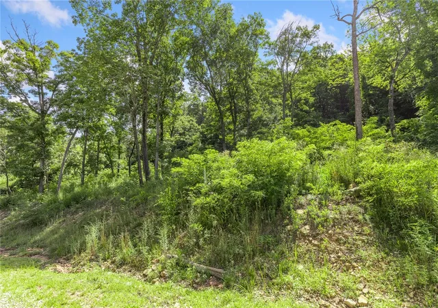 Photo 3 of Land for sale at Lot 50 Restore Ridge, Harrison, AR 72601 | MLS# 1291851 | Listing updated on 2026-01-14