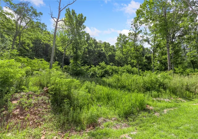 Photo 3 of Land for sale at Lot 50 Restore Ridge, Harrison, AR 72601 | MLS# 1291851 | Listing updated on 2026-01-14