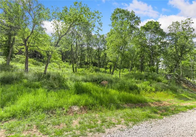 Photo 3 of Land for sale at Lot 52 Restore Ridge, Harrison, AR 72601 | MLS# 1291868 | Listing updated on 2026-01-14
