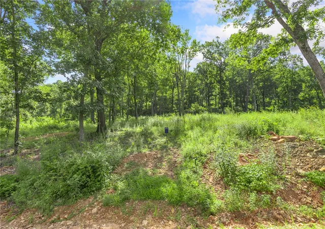 Photo 2 of Land for sale at Lot 54 Restore Ridge, Harrison, AR 72601 | MLS# 1291895 | Listing updated on 2026-01-14