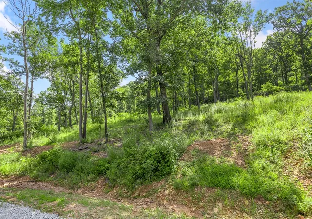 Photo 3 of Land for sale at Lot 54 Restore Ridge, Harrison, AR 72601 | MLS# 1291895 | Listing updated on 2026-01-14