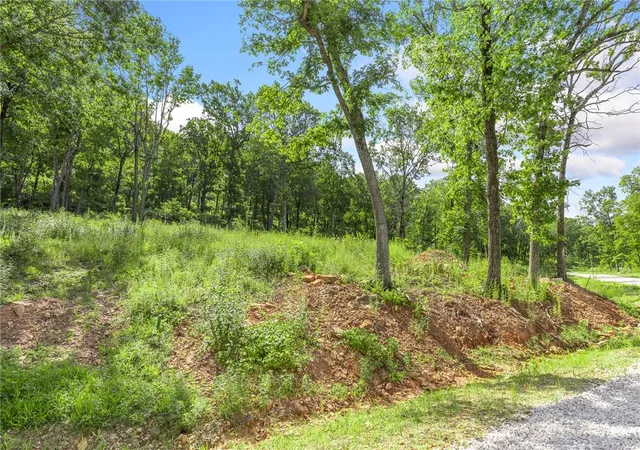 Photo 3 of Land for sale at Lot 54 Restore Ridge, Harrison, AR 72601 | MLS# 1291895 | Listing updated on 2026-01-14