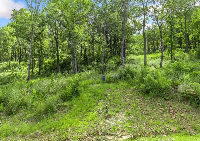 2nd image of Lot 56 Restore Ridge, Harrison, AR 72601 | MLS# 1291920