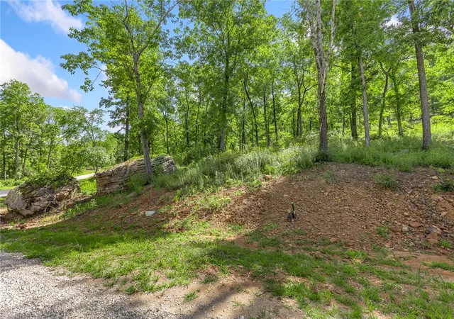 Homes for sale in Harrison, AR | Lot 59 Restore Ridge, Harrison, AR 72601 | MLS# 1291928