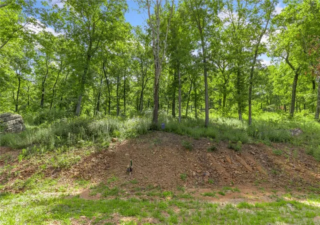 Homes for sale in Harrison, AR | Lot 59 Restore Ridge, Harrison, AR 72601 | MLS# 1291928