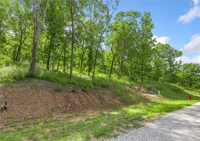 Homes for sale in Harrison, AR | Lot 59 Restore Ridge, Harrison, AR 72601 | MLS# 1291928