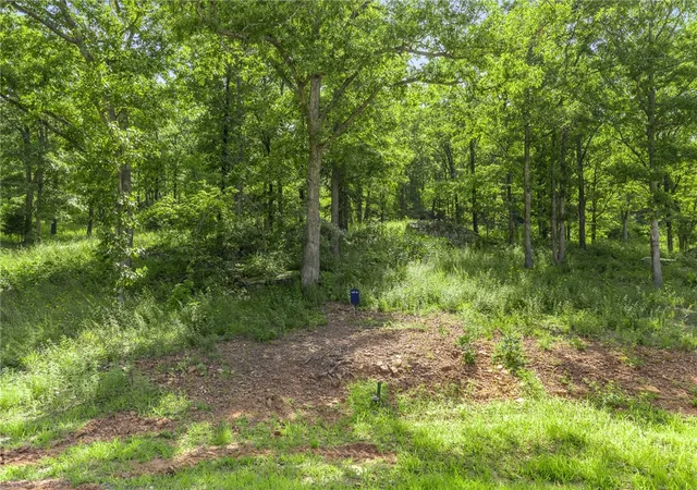 2nd image of Lot 61 Restore Ridge, Harrison, AR 72601 | MLS# 1291937