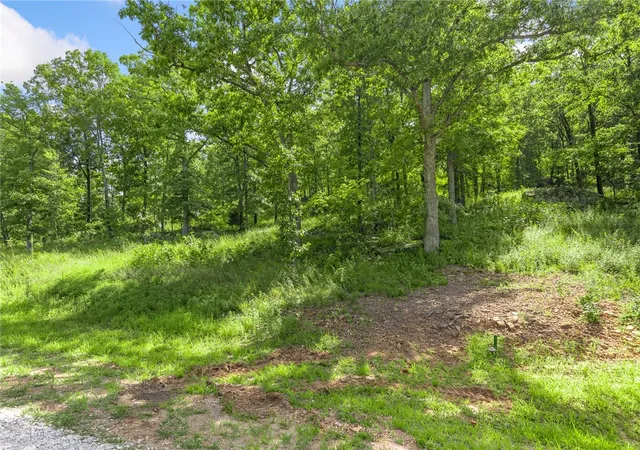 3rd image of Lot 61 Restore Ridge, Harrison, AR 72601 | MLS# 1291937