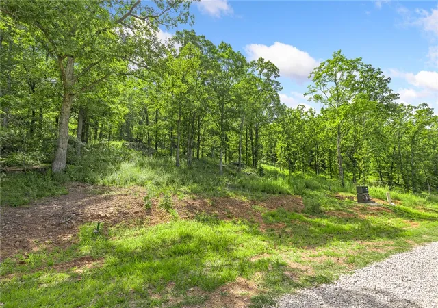4th image of Lot 61 Restore Ridge, Harrison, AR 72601 | MLS# 1291937