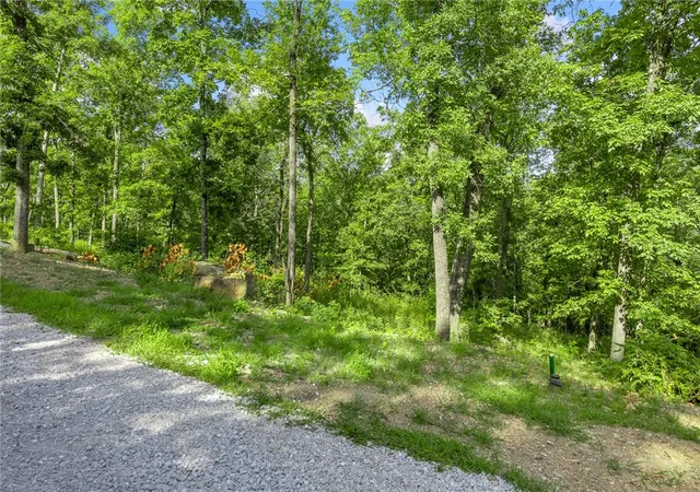 3rd image of Lot 70 Restore Ridge, Harrison, AR 72601 | MLS# 1291954
