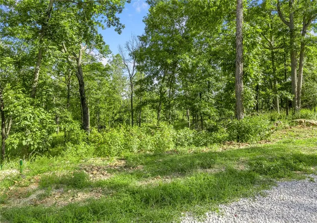 4th image of Lot 71 Restore Ridge, Harrison, AR 72601 | MLS# 1291955