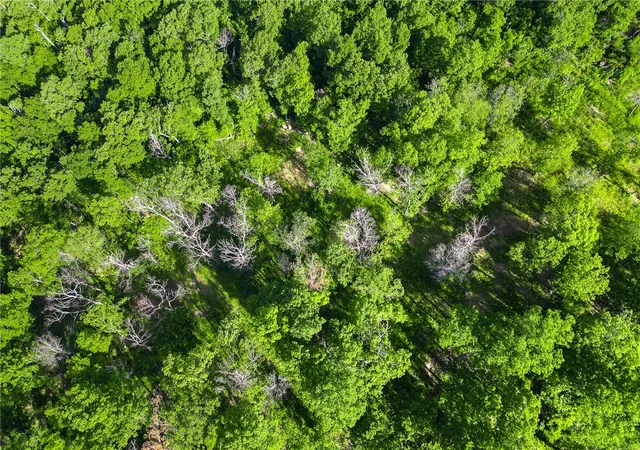 5th image of Lot 71 Restore Ridge, Harrison, AR 72601 | MLS# 1291955