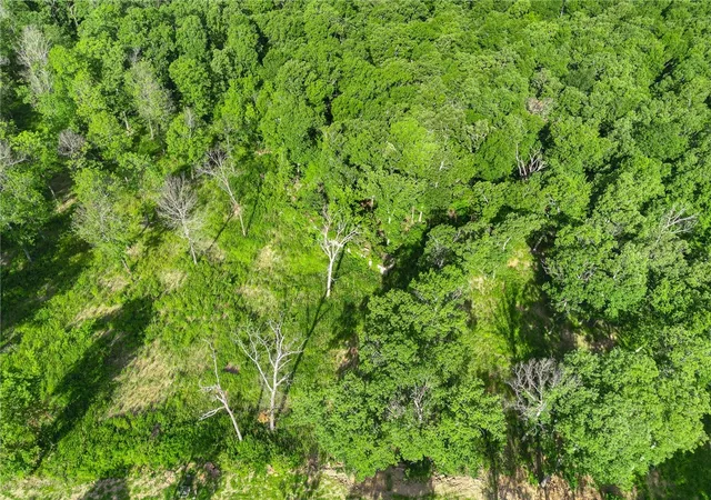 Homes for sale in Harrison, AR | Lot 74 Restore Ridge, Harrison, AR 72601 | MLS# 1291960