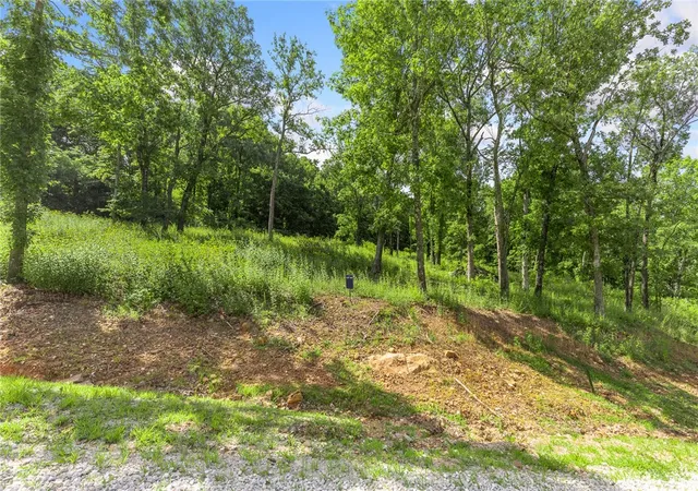 Homes for sale in Harrison, AR | Lot 101 Restore Ridge, Harrison, AR 72601 | MLS# 1292024