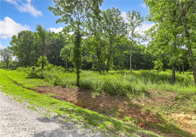 Homes for sale in Harrison, AR | Lot 101 Restore Ridge, Harrison, AR 72601 | MLS# 1292024