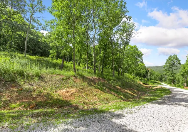 Homes for sale in Harrison, AR | Lot 101 Restore Ridge, Harrison, AR 72601 | MLS# 1292024