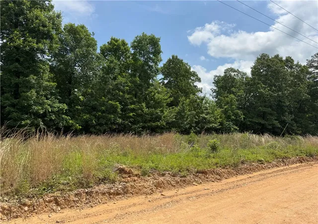 Homes for sale in Compton, AR | Tbd Plumlee Rd, Compton, AR 72624 | MLS# 1292601