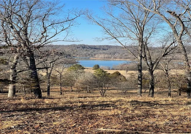 Homes for sale in Green Forest, AR | 14696 Hwy 311 N Rd, Green Forest, AR 72638 | MLS# 1296316