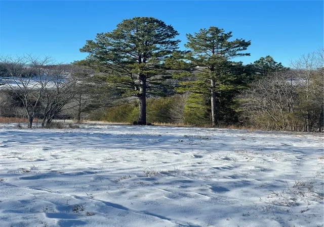 Homes for sale in Green Forest, AR | 14696 Hwy 311 N Rd, Green Forest, AR 72638 | MLS# 1296316