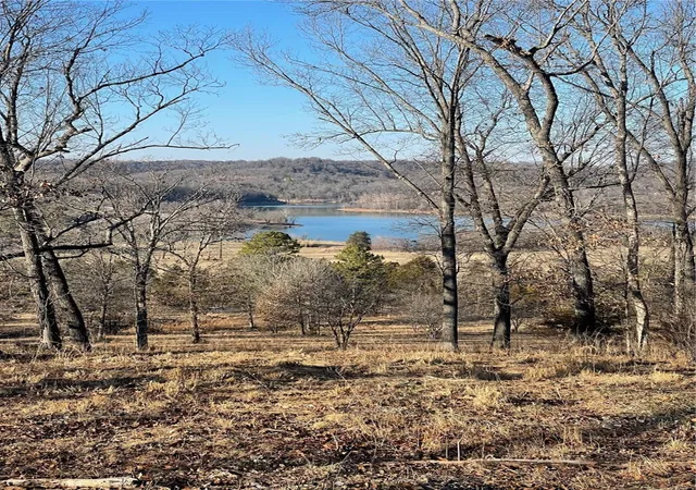 Homes for sale in Green Forest, AR | 14696 Hwy 311 N Rd, Green Forest, AR 72638 | MLS# 1296316