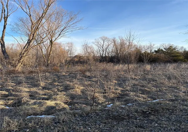 Homes for sale in Green Forest, AR | Tbd Lot 3 Redbud St, Green Forest, AR 72638 | MLS# 1299518