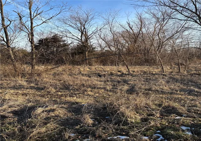 Homes for sale in Green Forest, AR | Tbd Lot 3 Redbud St, Green Forest, AR 72638 | MLS# 1299518