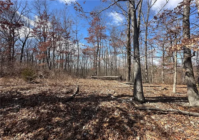 Homes for sale in Berryville, AR | 1548 County Road 731, Berryville, AR 72616 | MLS# 1300334
