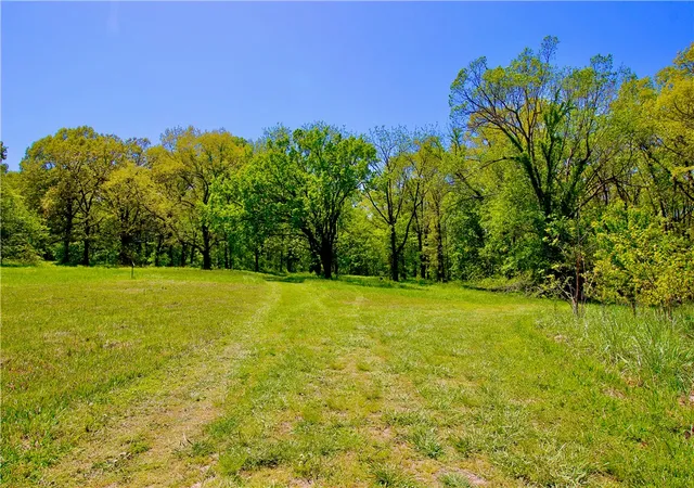 1st image of Us 62 Spur Rd, Berryville, AR 72616 | MLS# 1300457