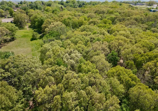 41st image of Us 62 Spur Rd, Berryville, AR 72616 | MLS# 1300457