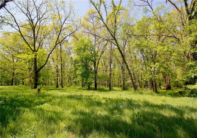 Photo 3 of Land for sale at US 62 Spur Rd, Berryville, AR 72616 | MLS# 1300457 | Listing updated on 2026-03-04