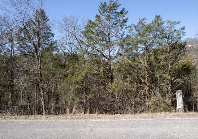 Homes for sale in Eureka Springs, AR | Tbd Valley Dr, Eureka Springs, AR 72631 | MLS# 1300266