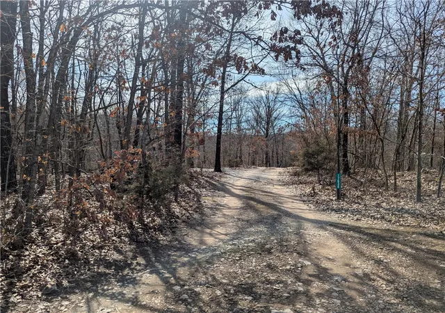 1st image of Bill Billings Rd, Garfield, AR 72732 | MLS# 1300502