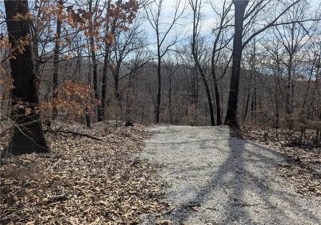 2nd image of Bill Billings Rd, Garfield, AR 72732 | MLS# 1300502