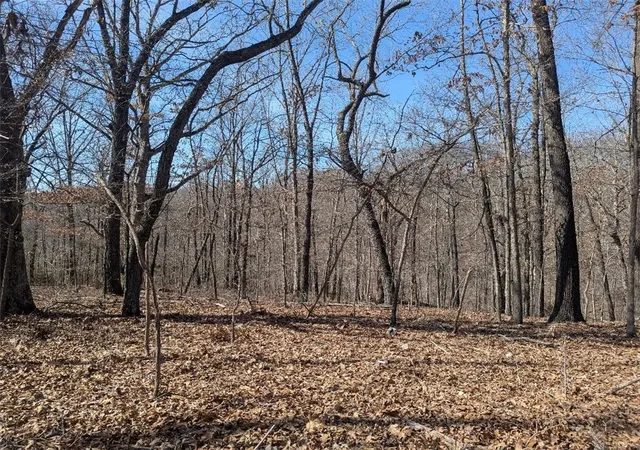 Photo 3 of House for sale at Bill Billings Rd, Garfield, AR 72732 | MLS# 1300502 | Listing updated on 2026-06-28