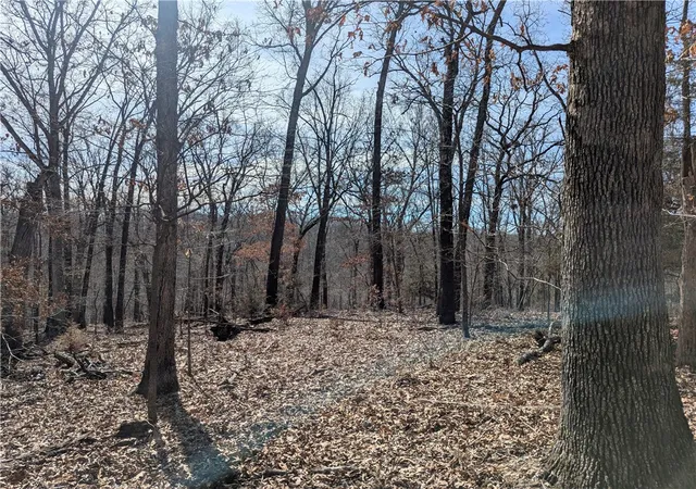 Photo 4 of House for sale at Bill Billings Rd, Garfield, AR 72732 | MLS# 1300502 | Listing updated on 2026-06-28