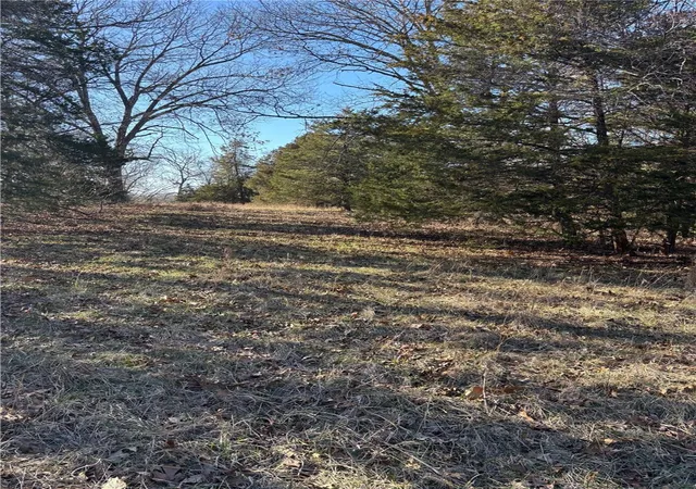 2nd image of 22ac Gann Ridge Rd, Garfield, AR 72732 | MLS# 1300833