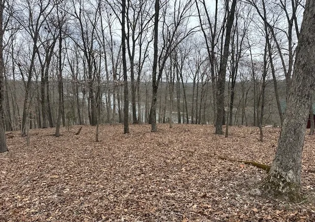 22nd image of Cr 152 And 1524, Eureka Springs, AR 72632 | MLS# 1302100