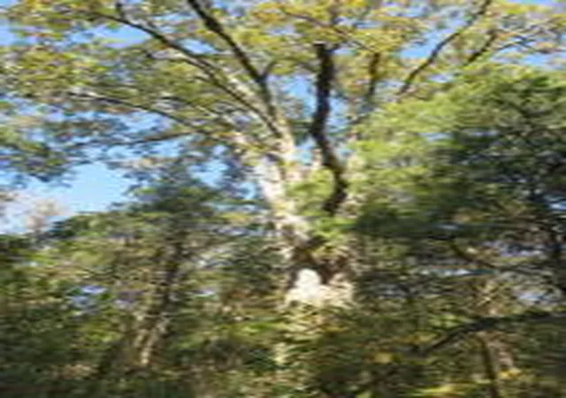 3rd image of (Undisclosed), London, AR 72853 | MLS# AV15-2398