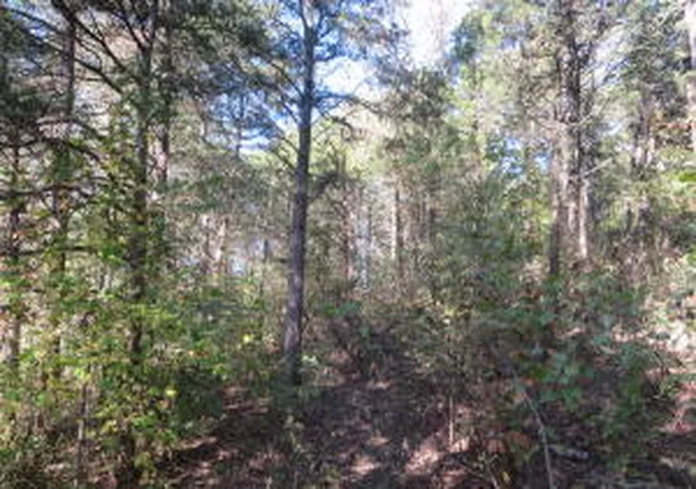 4th image of (Undisclosed), London, AR 72853 | MLS# AV15-2398