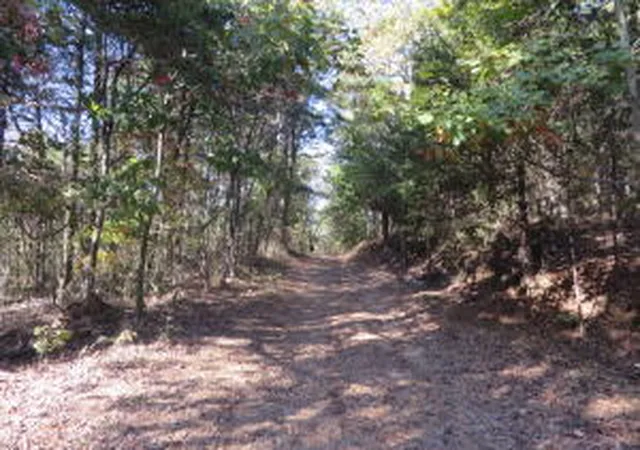 5th image of (Undisclosed), London, AR 72853 | MLS# AV15-2398